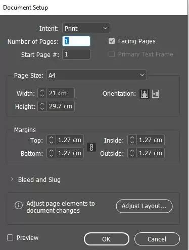 ID InDesign Page Setting 的图像结果