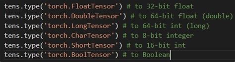 Image result for Pytorch Type