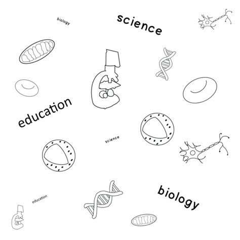 Biology Poster PNG 的图像结果