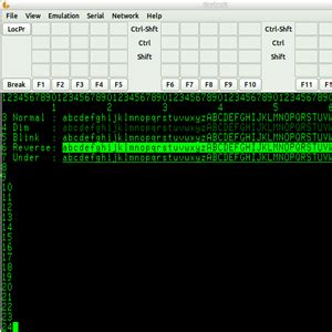 Image result for Data General Dasher Terminal