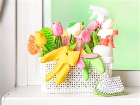 Spring Cleaning Checklist 的图像结果