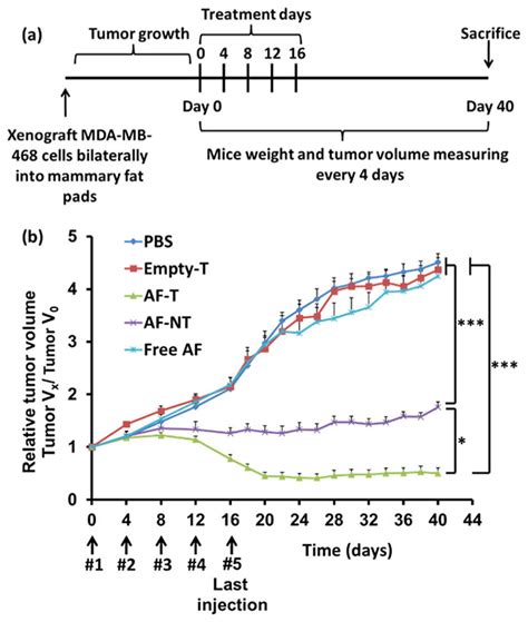 Targeted therapy of triple negative MDA‑MB‑468 breast cancer with ...