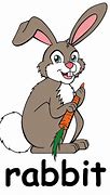 Image result for Pet Rabbit Cartoon