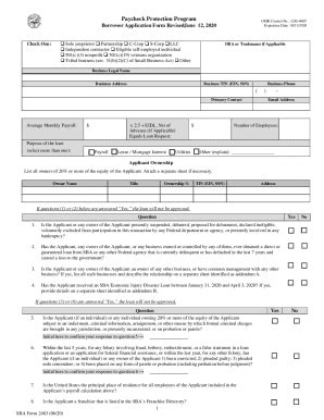 Paycheck Protection Program Borrower Application Form 的图像结果