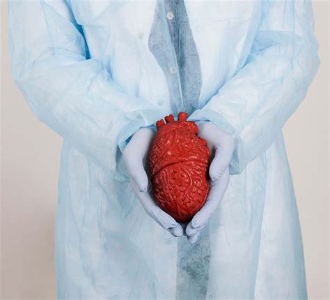 Key Takeaways: Interventional Heart Failure (IHF) as an Emerging ...