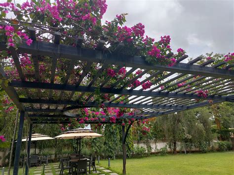 Instagrammable Places in Bangalore | FF21