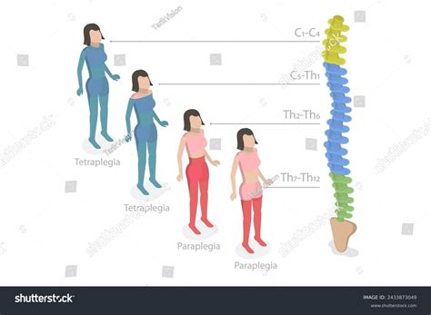 4+ Hundred Quadriplegia Royalty-Free Images, Stock Photos & Pictures | Shutterstock