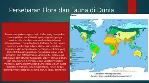 PERSEBARAN FLORA DAN FAUNA DI INDONESIA DAN DUNIA.pptx