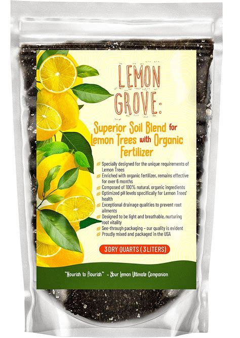 12 Soils That Make Your Avocado Tree Thrive