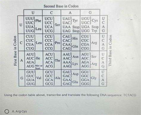 Codon Table 的图像结果