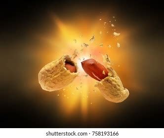 Nuts Explode 的图像结果