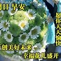 Image result for 周日