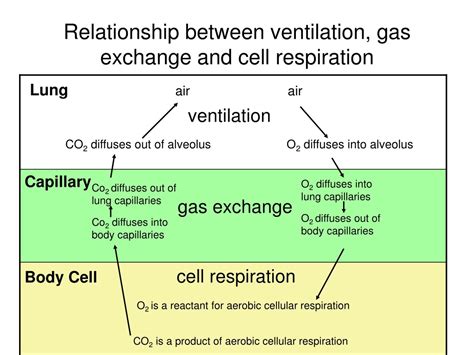 PPT - Topic 6.4 PowerPoint Presentation, free download - ID:636576