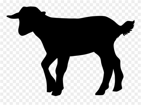 Image result for Best WA. Some Python Projects