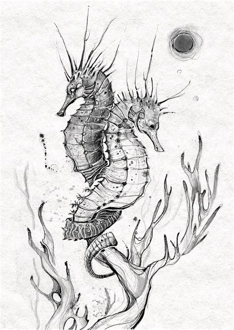 Seahorse Pencil Drawing