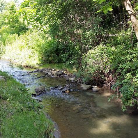 Pleasant Creek Campground Illinois: Camping & Nature Escapes
