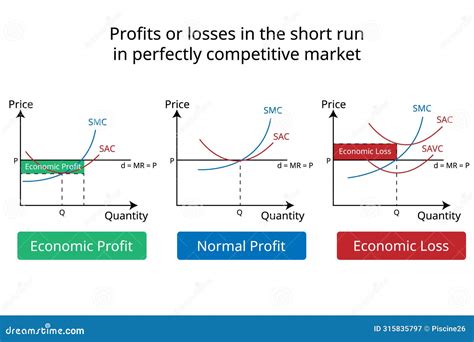 Profits or Losses in the Short Run in Perfectly Competitive Market ...