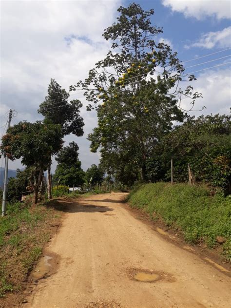 Acevedo | Red Huila. Negocios, Turismo, Gastronomía y algo más...