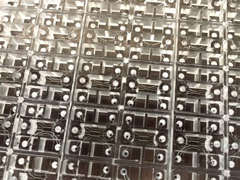 AIM Biotech on Twitter: "Come & meet us at the World Preclinical ...