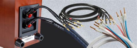 What are Bi-Wiring and Bi-Amping? What Are the Benefits of Bi-Wiring