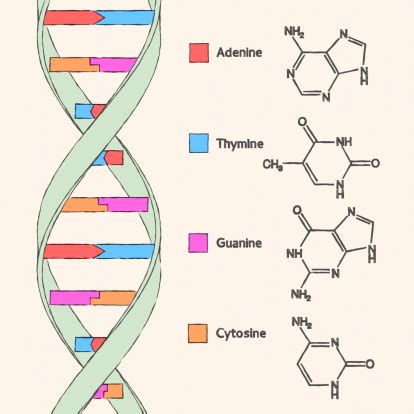 Image result for DNA Microarray Kit