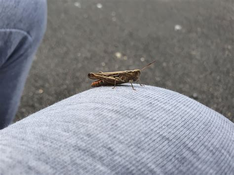 Technology Is Amazing 的图像结果