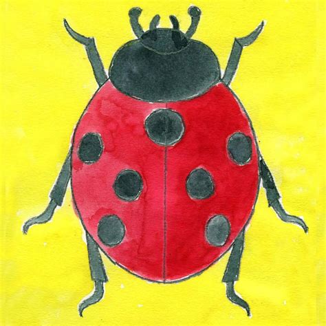 Ladybug Drawing