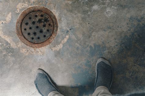 6 Types of Basement Floor Drains