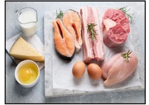 Components of Food: Essential Nutrients for Growth and Health