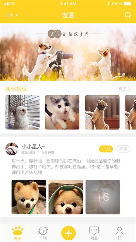“宠你” 宠物社交APP 1.0版本|UI|APP界面|望熊 - 原创作品 - 站酷 (ZCOOL)