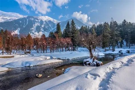 Pahalgam: Where Family Adventures Begin!