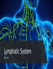 Lymphatic System Overview 的图像结果