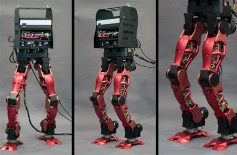 Humanoid Robot Design 的图像结果