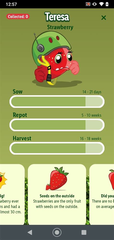 The Fresh Heads Mini Garden APK Download for Android Free
