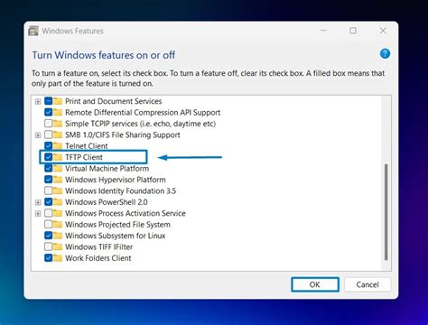 How to Transfer Files Using TFTP On Windows 11 的图像结果