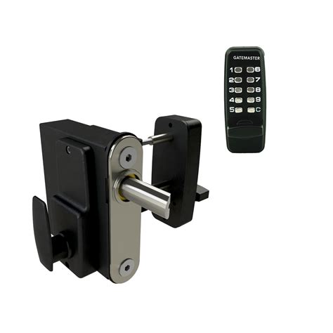 Image result for Gate Locks Types