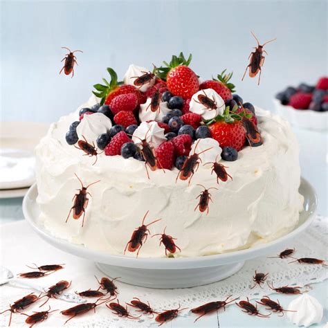 Image result for Scary Cockroach Pranks