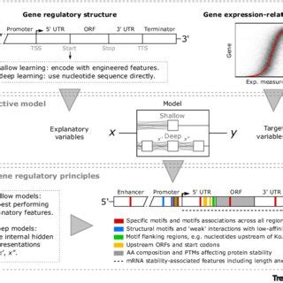 Image result for Data-Driven Machine Learning PDF
