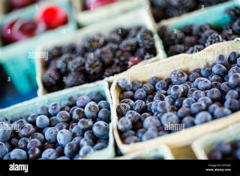 Local Organic Produce 的图像结果