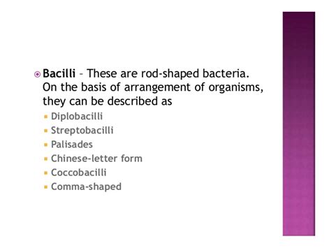 Classification of Bacteria PPTX