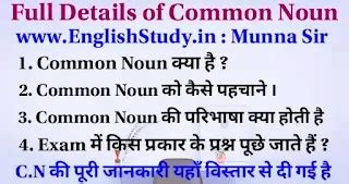 Common Noun in Hindi with Definition Rules Examples etc