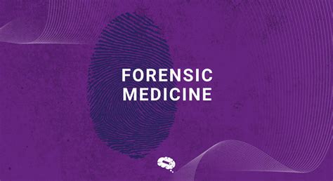 Image result for Basic vs Applied Science