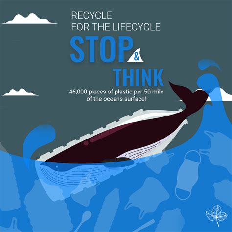 Embracing Towards Sustainability: The Rise of Biodegradable Plates and ...