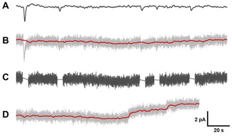 Phototransduction in Anuran Green Rods: Origins of Extra-Sensitivity