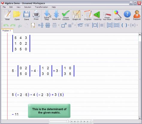 Image result for Polynomial Matrix Determinat