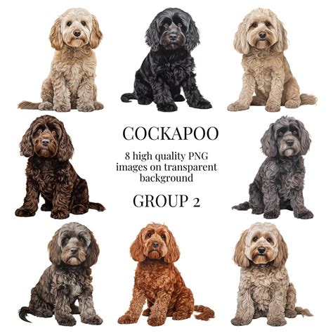 Image result for Cockapoo ClipArt