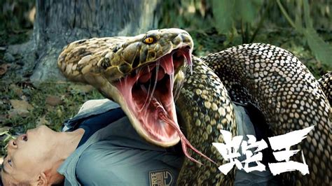 电影《蛇王2021》定档4月12日 蛇宫惊魂！暴怒蛇王疯狂反杀 - 华娱网