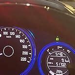 Red Flow Diesel & Petrol Additive | Injector Cleaner (300ML), Treats ...