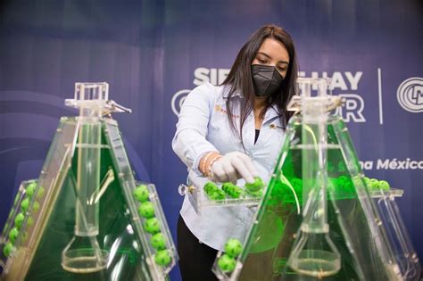 Posibles riesgos y consideraciones al participar en sorteos