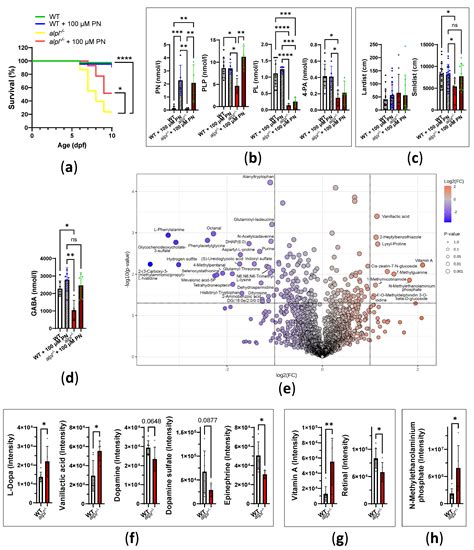 Broad Vitamin B6-Related Metabolic Disturbances in a Zebrafish Model of ...